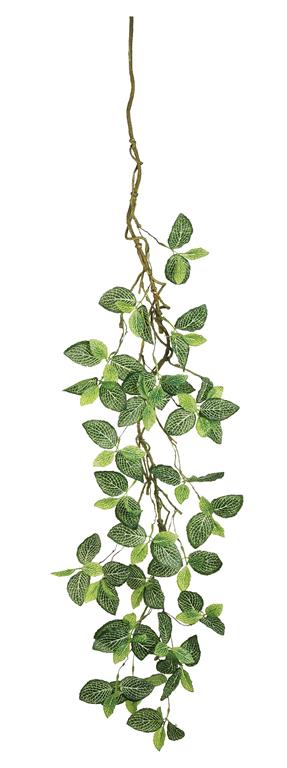  48 " Fittonia Vine available at Davis Porch and Patio in Weatherford Texas