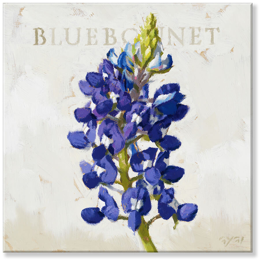 Texas bluebonnet 5x5 Canvas available at Davis Porch and Patio Weatherford Texas