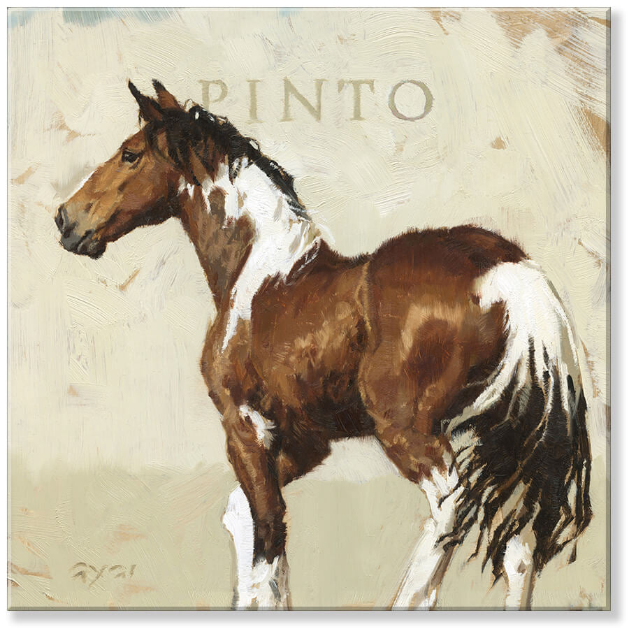Pinto Horse 5” x 5” Canvas Art
