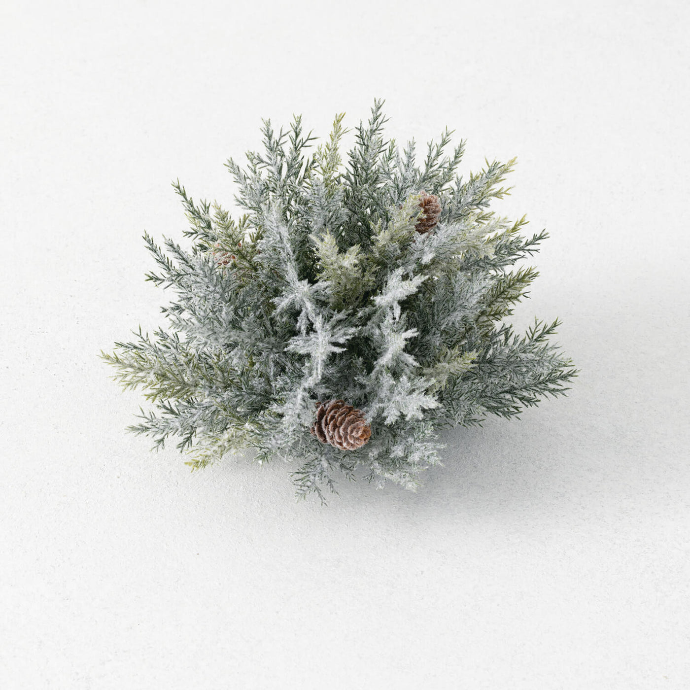Prickly Pine Half Orb