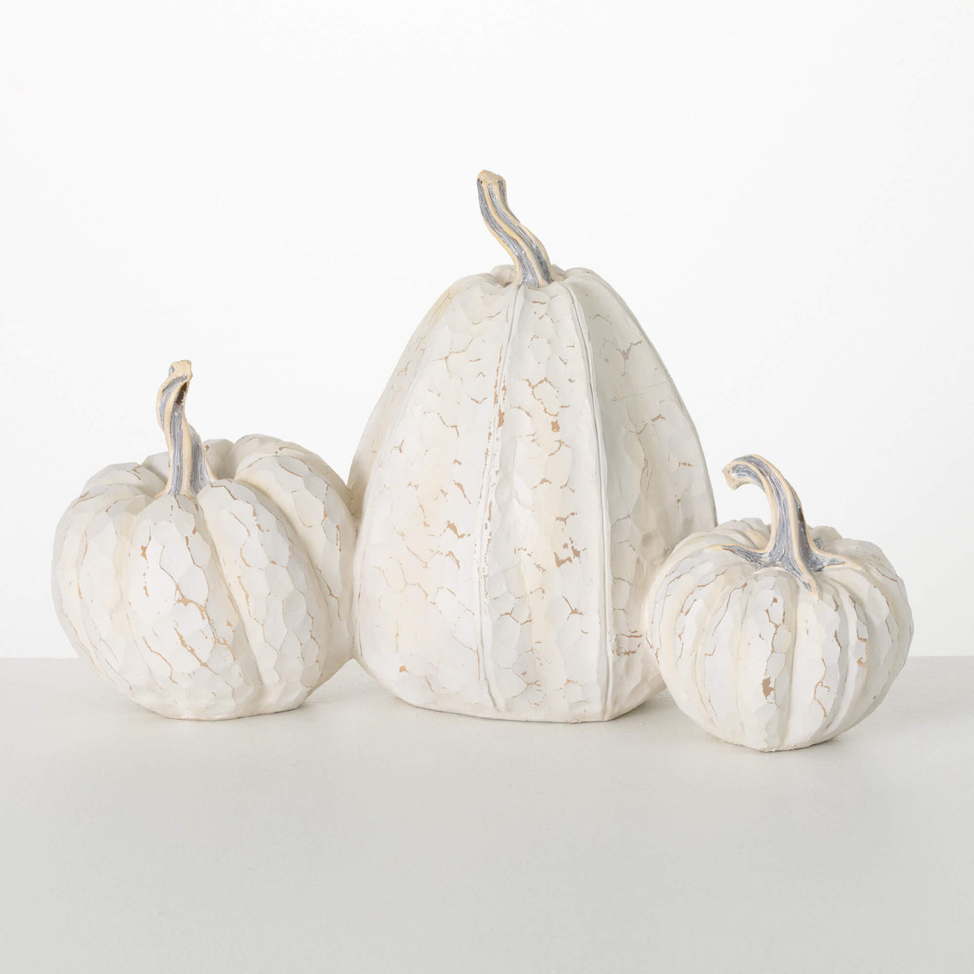 Rustic White Pumpkins