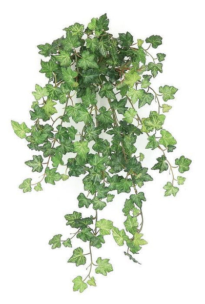 Mini Cottage Ivy Vine available at Davis Porch and Patio in Weatherford Texas