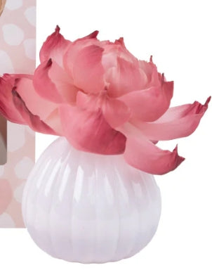 Sweet Grace Flower Diffuser REFILL