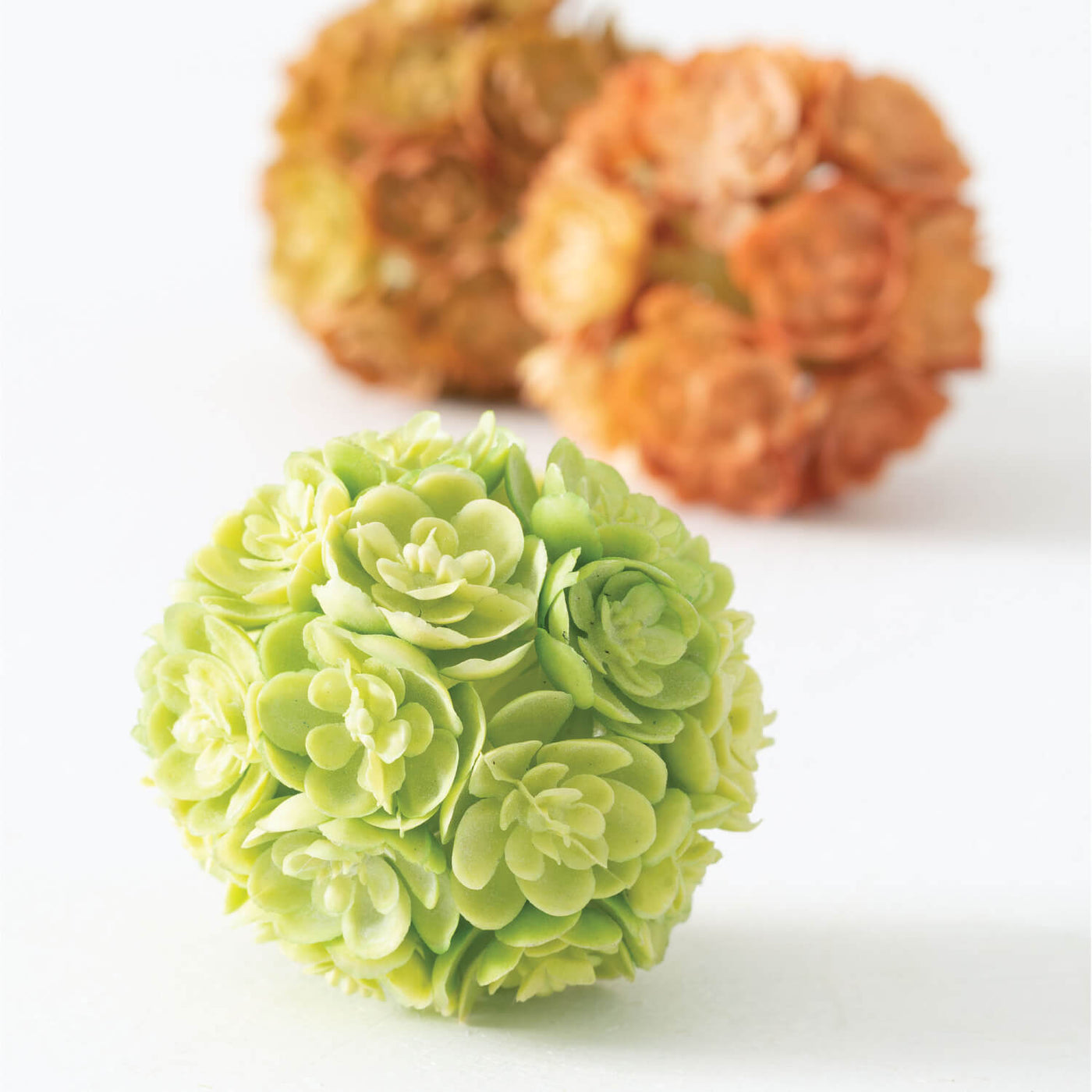 Mini Echveria Orbs (3)
