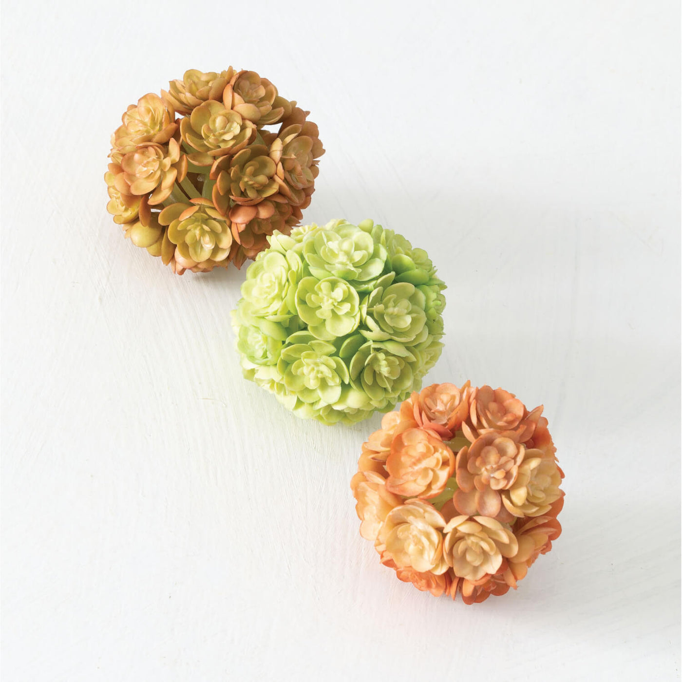 Mini Echveria Orbs (3)