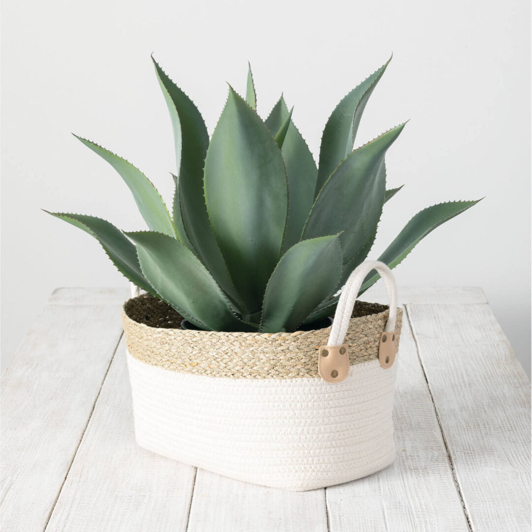 Artificial Potted Agave