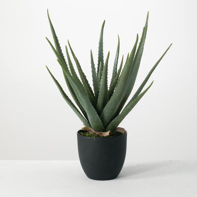 Artificial Potted Aloe Plant