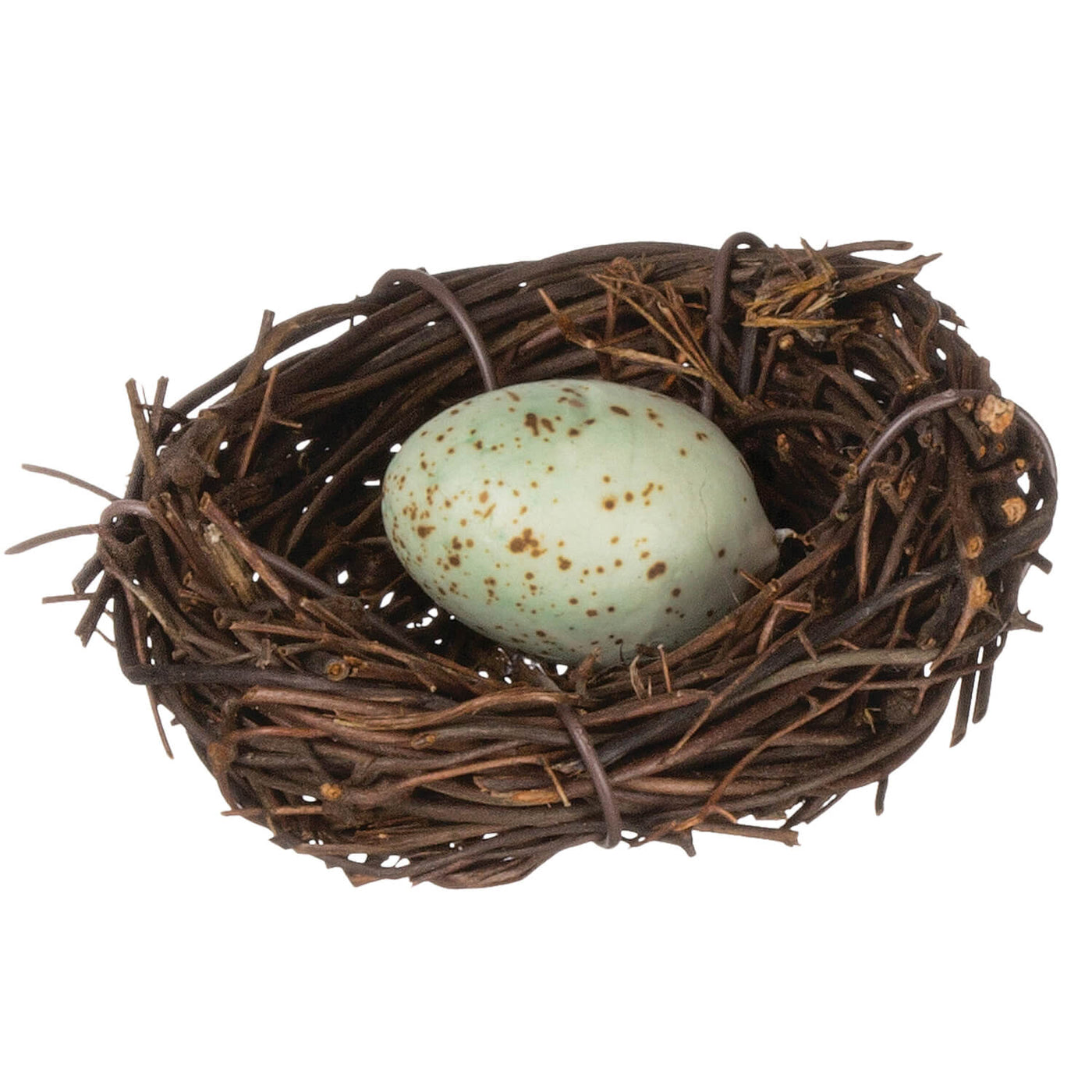 Egg in a small nest
