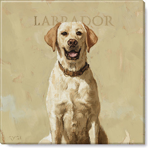 canvas print featuring a yellow lab and the word labrador 