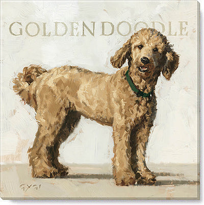 Goldendoodle canvas print from the Darren Gygi Home Collection