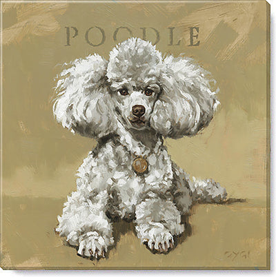 Poodle gallery-wrapped giclee artwork from the Darren Gygi Home Collection