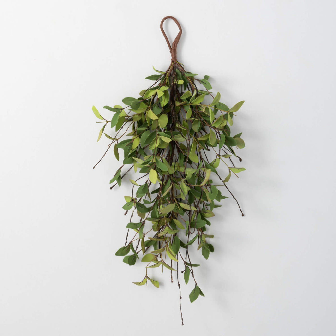 Ruscus Leafy Twig Swag with loop for hanging
