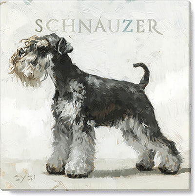 Miniature Schnauzer canvas art from the Darren Gygi Home Collection 