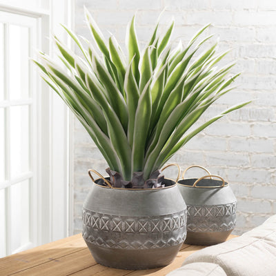 Artificial Potted Variegated Agave