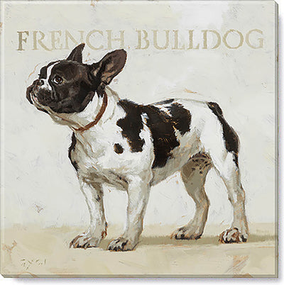 French Bulldog canvas print from the Darren Gygi Home Collection