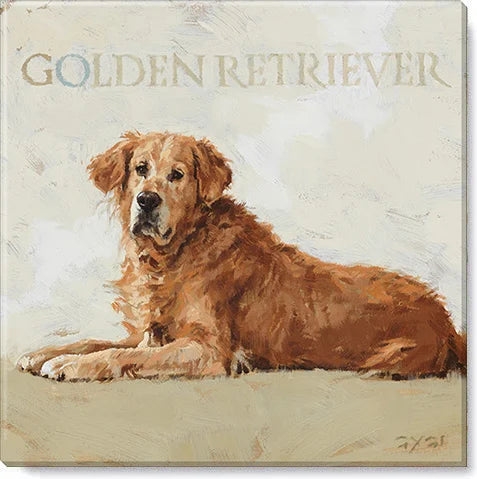 Golden Retriever canvas print from the Darren Gygi Home Collection