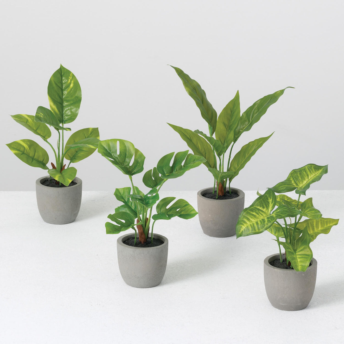 Philodendron Syngonium Artificial Plant Assortment Set of 4