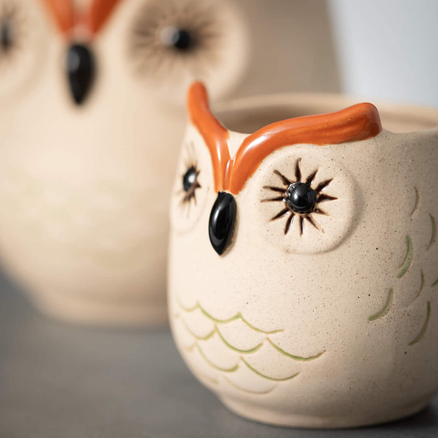 Kitschy Owl Planter Set