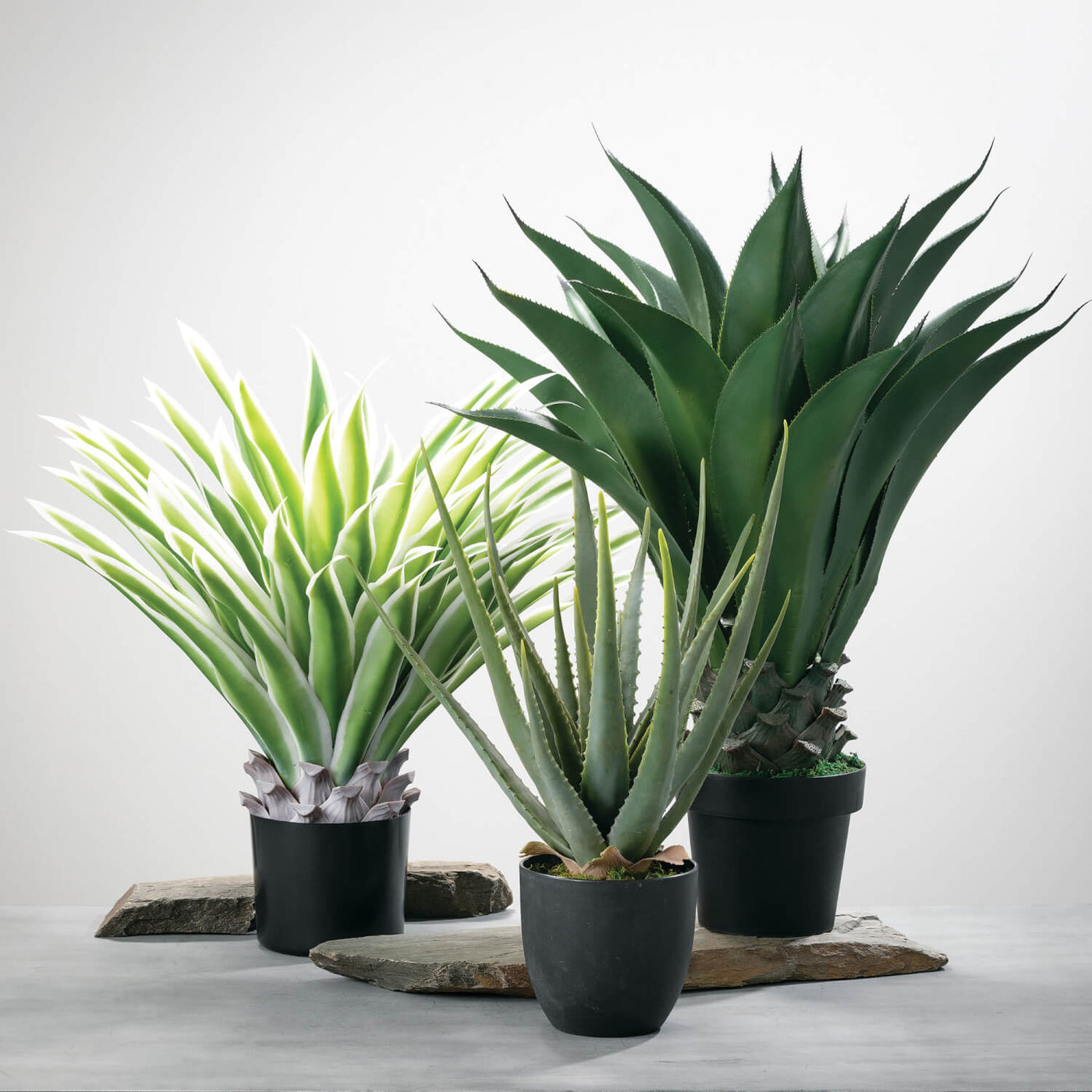 Artificial Potted Variegated Agave