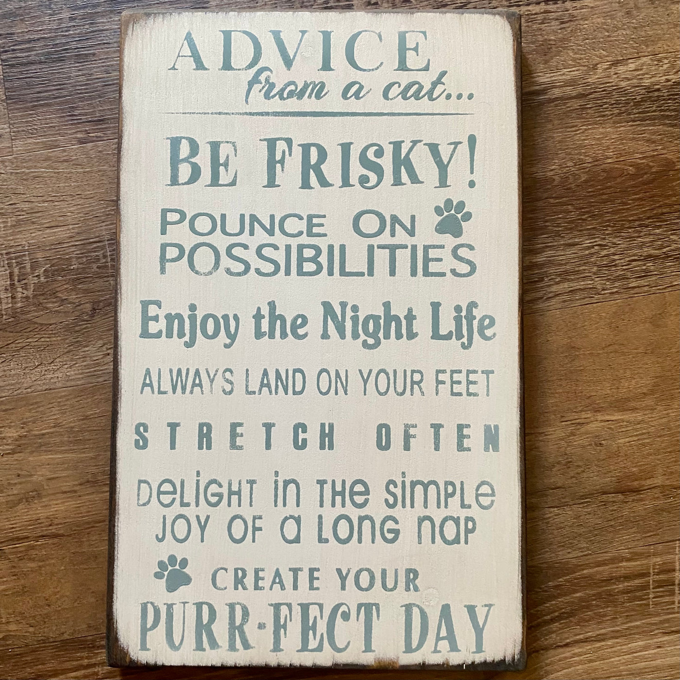 Advice From A Cat
