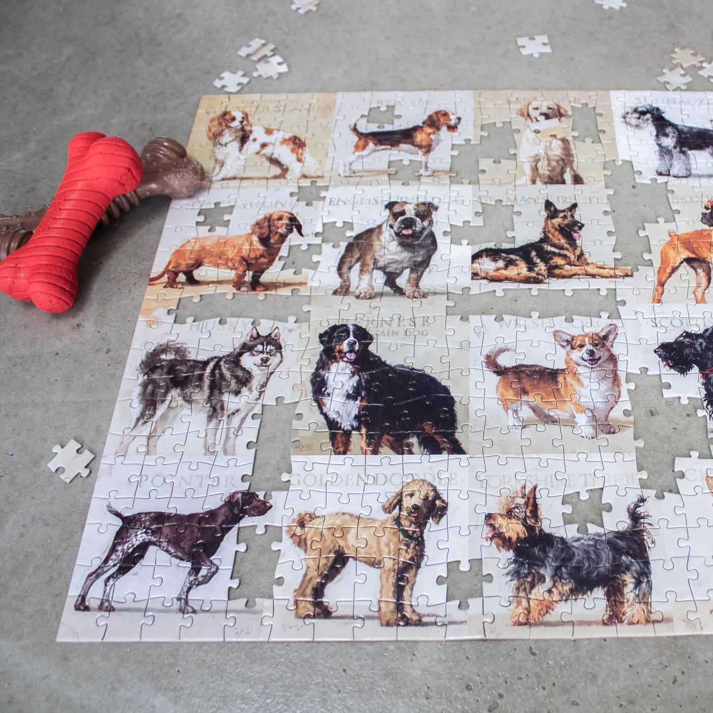 Darren Gygi Dog Puzzle