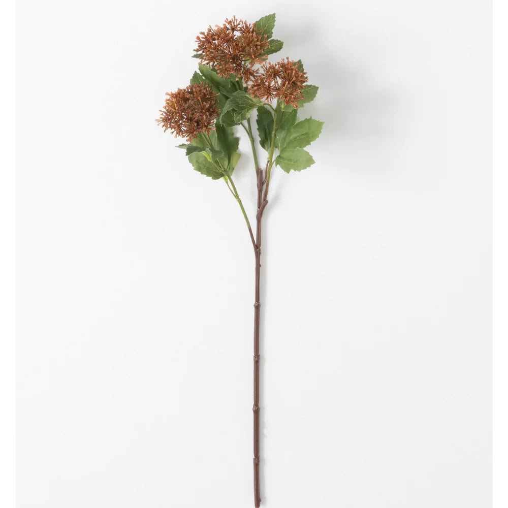 Brown Snowball Stem