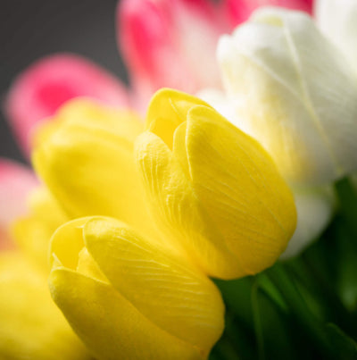 Springtime Blooming Tulip Bouquet