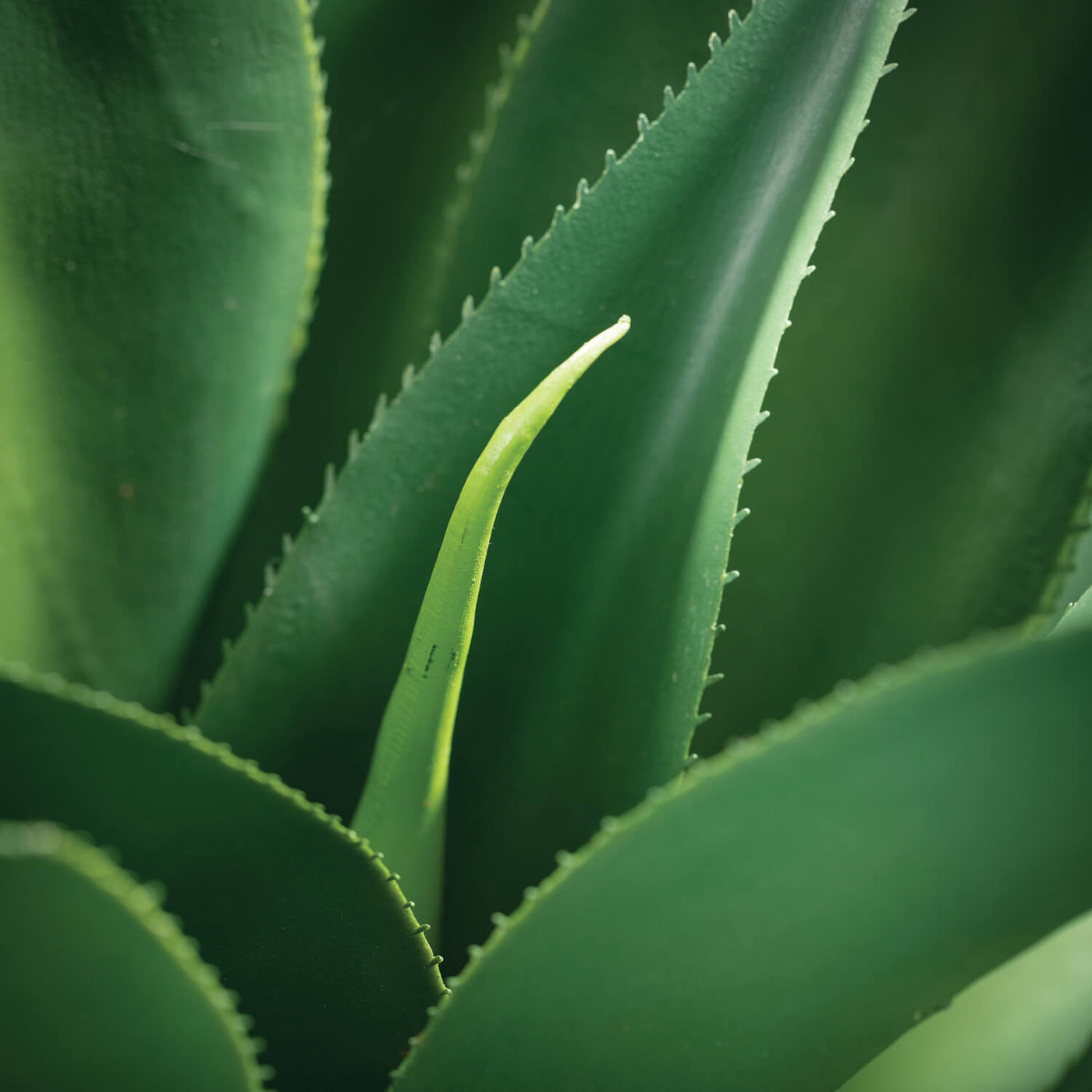 Artificial Potted Agave Plant