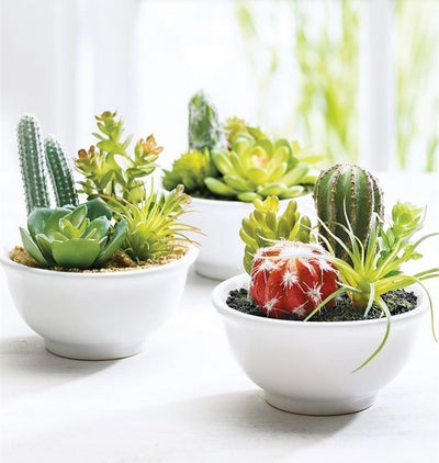 Artificial cactus arrangement in a weighted white bowl. 