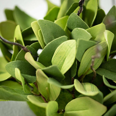 Ruscus Leafy Twig Swag