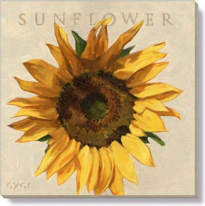 Sunflower 5x5 canvas art print  from the Darren Gygi Home Collection