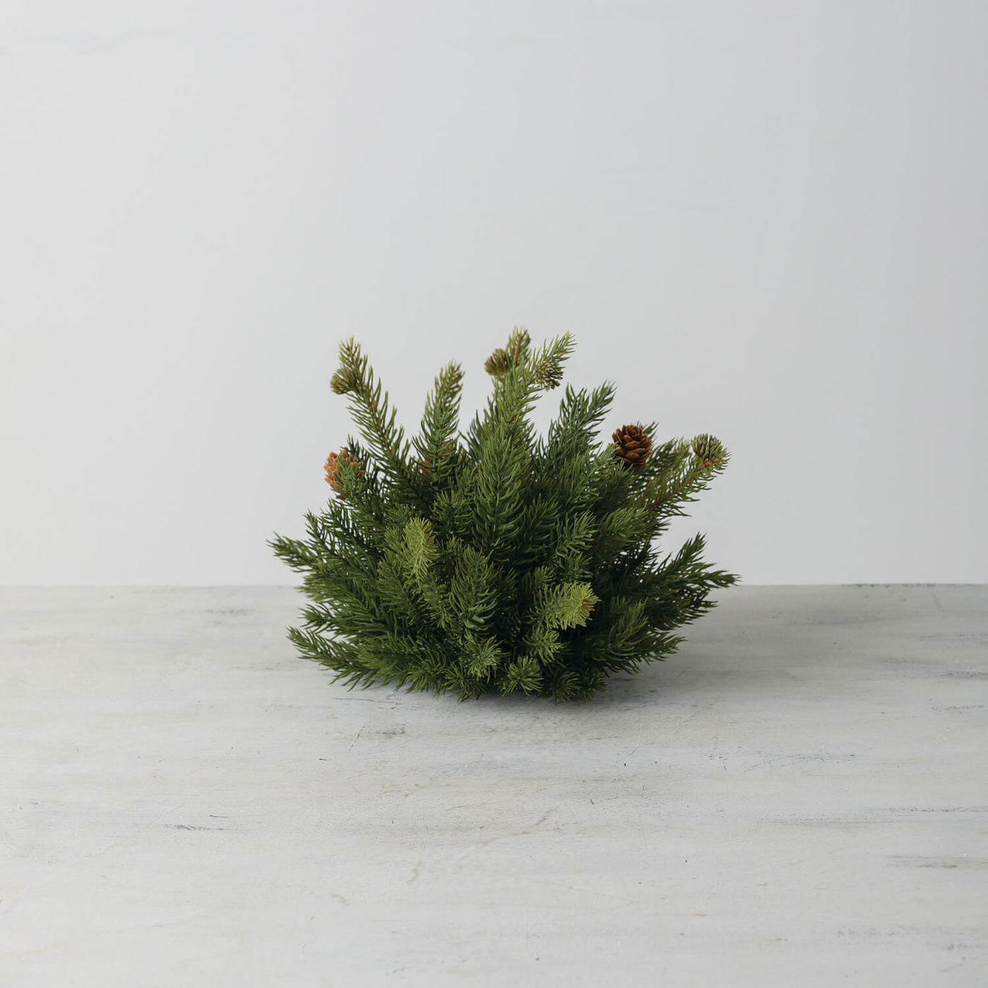 White spruce decorative orb with pine cones