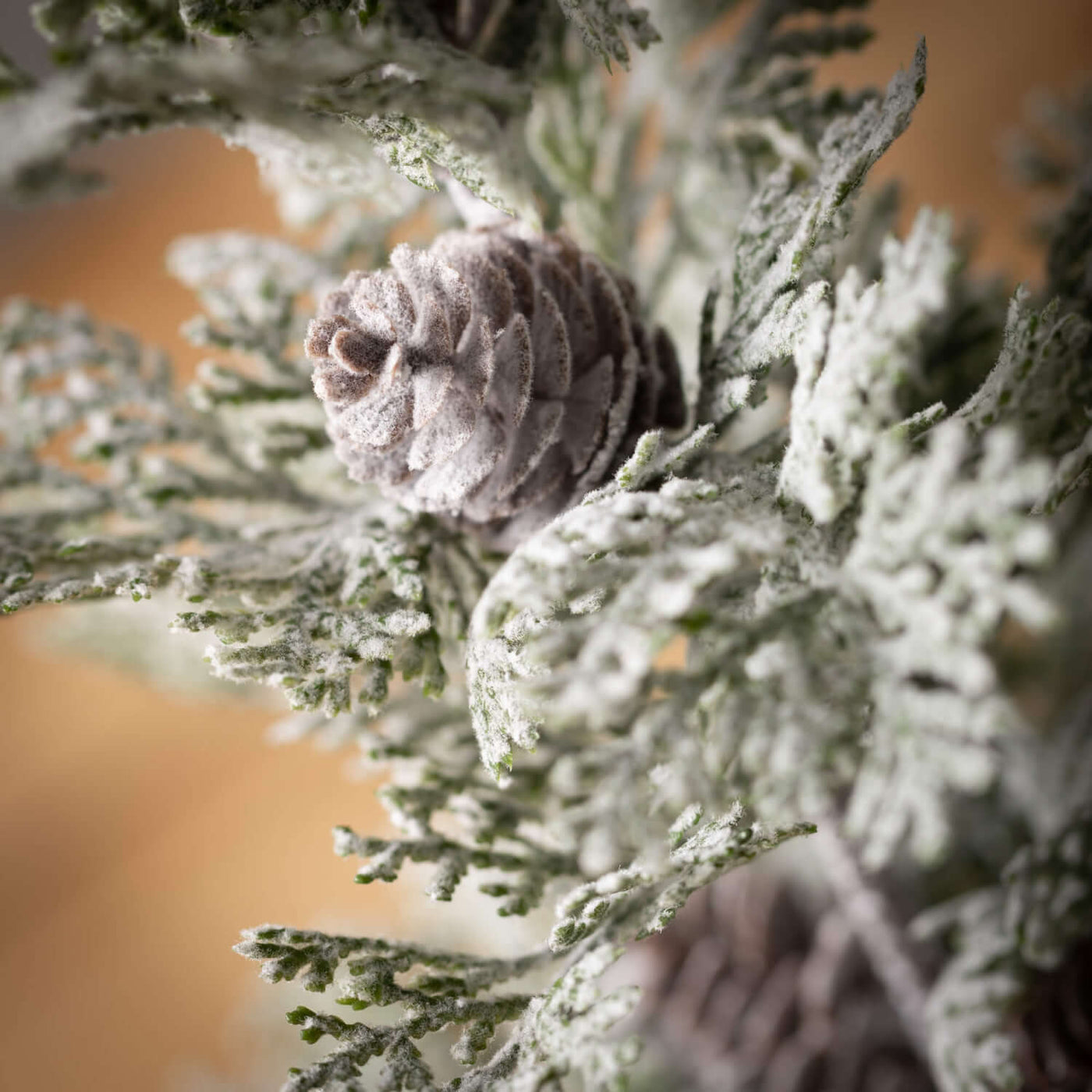 Potted Pine Tree Set